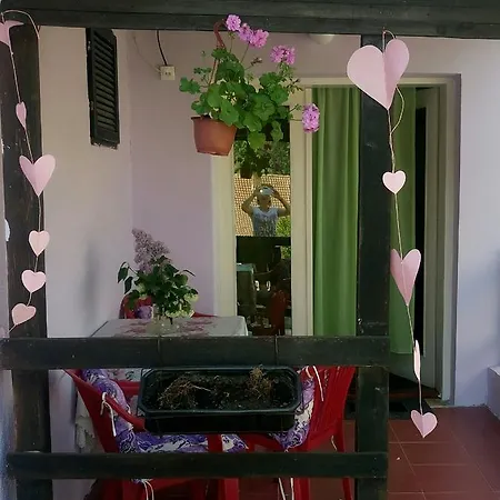 Jankovic Apartment