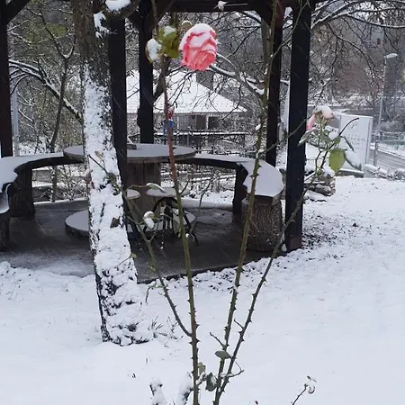 Jankovic Διαμέρισμα