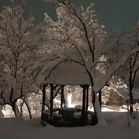 Διαμέρισμα Jankovic