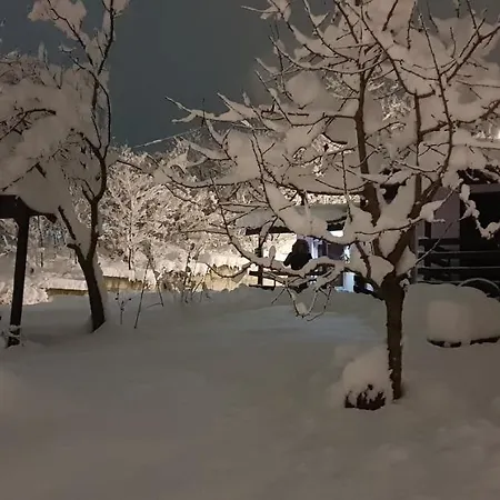 Jankovic Apartament Vrdnik