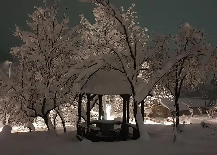 Appartamento Jankovic